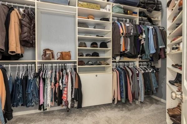 walk in closet featuring carpet