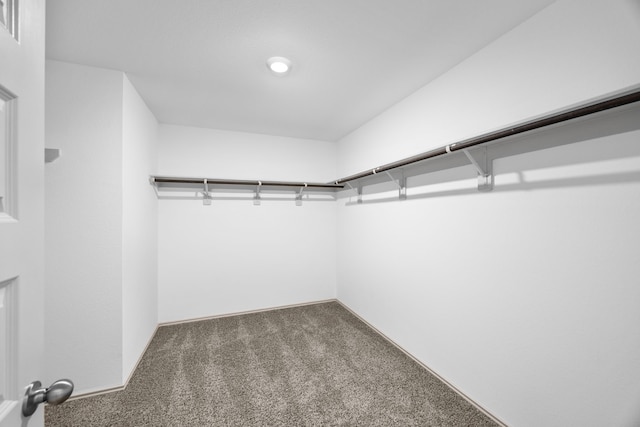 spacious closet with carpet flooring