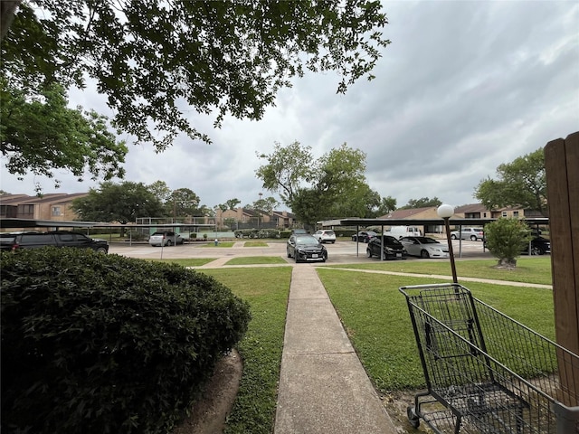 10555 Turtlewood Ct Unit 1008, Houston, TX 77072 - view of yard