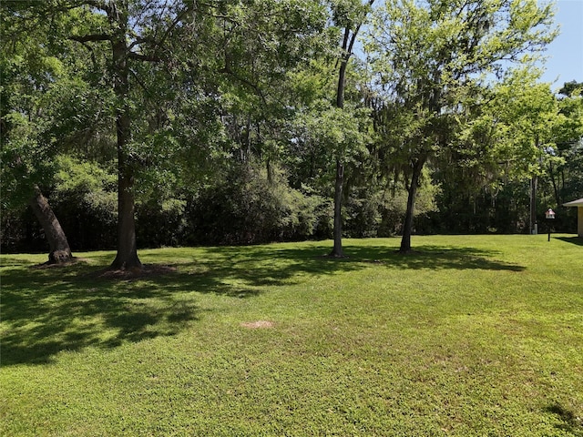 TBD Idlewilde Dr, Onalaska, TX 77360
