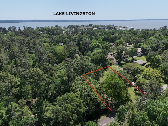 TBD Idlewilde Dr, Onalaska, TX 77360
