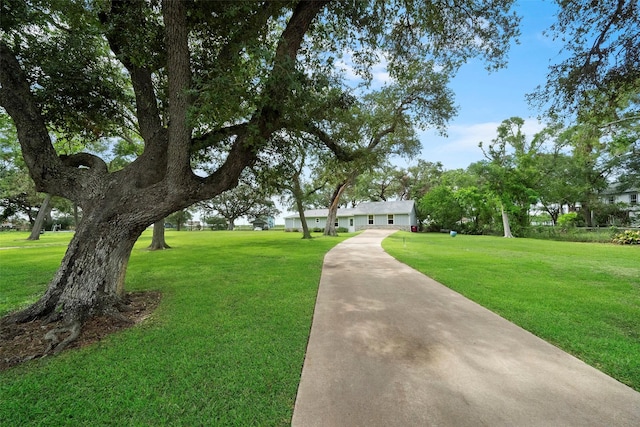 view of home's community with a lawn