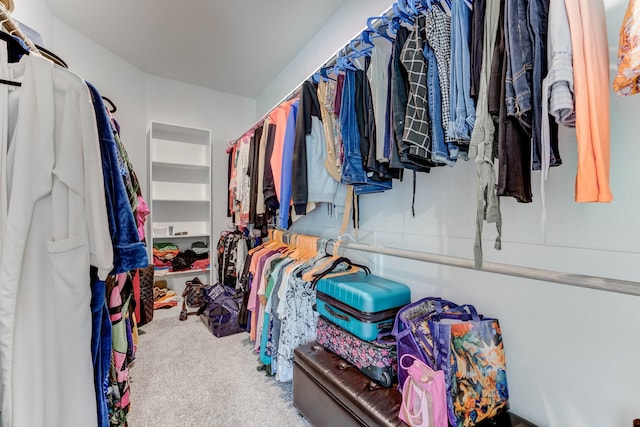 spacious closet featuring carpet