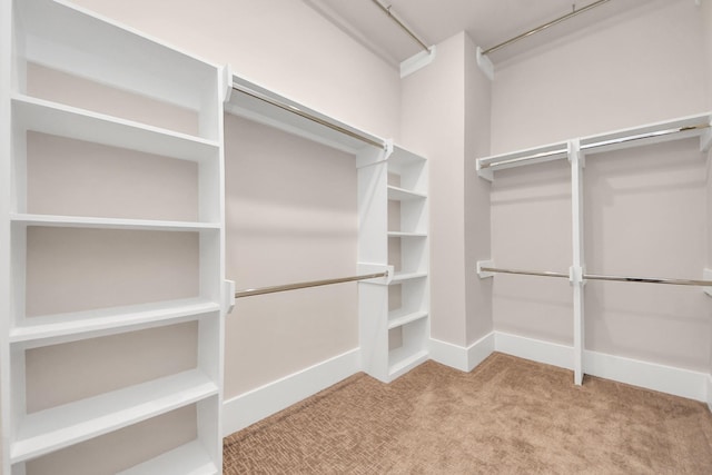 783 Mansfield St, Houston, TX 77091 - spacious closet with carpet