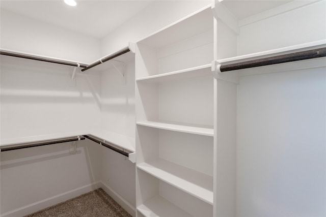 1114 Niagara St, Houston, TX 77051 - spacious closet featuring carpet floors