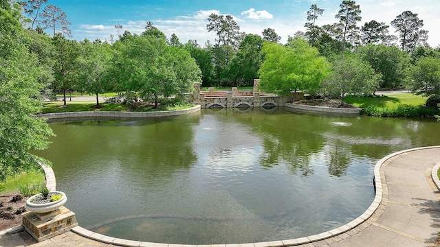 75 Colonial Row Dr, The Woodlands, TX 77380 - water view