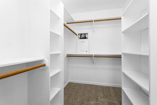walk in closet with carpet floors