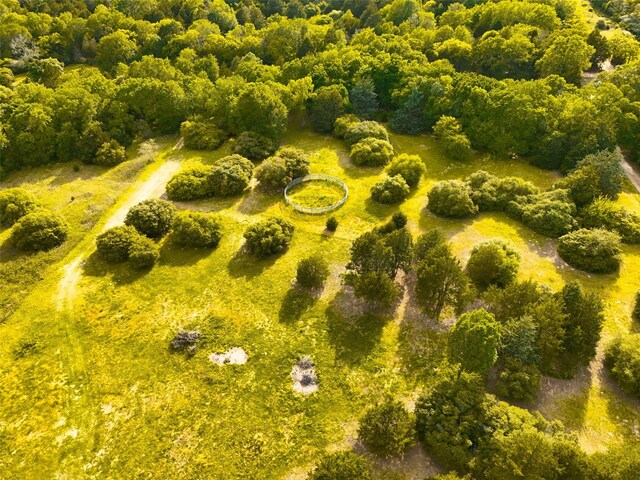 9997 County Road 324, Caldwell, TX 77836 - photo 4