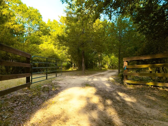 9997 County Road 324, Caldwell, TX 77836 - photo 20