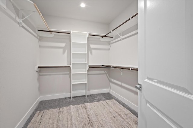 spacious closet with carpet floors