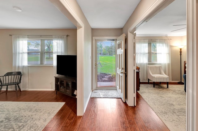 foyer entrance with wood finished floors, baseboards, and plenty of natural light