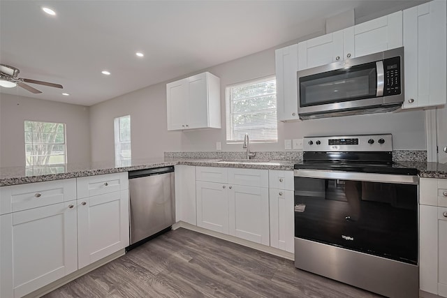 kitchen featuring dark wood-type flooring, a healthy amount of sunlight, stainless steel appliances, and a sink