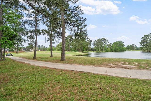 20271 Sunny Shores Dr, Humble, TX 77346 - photo 18