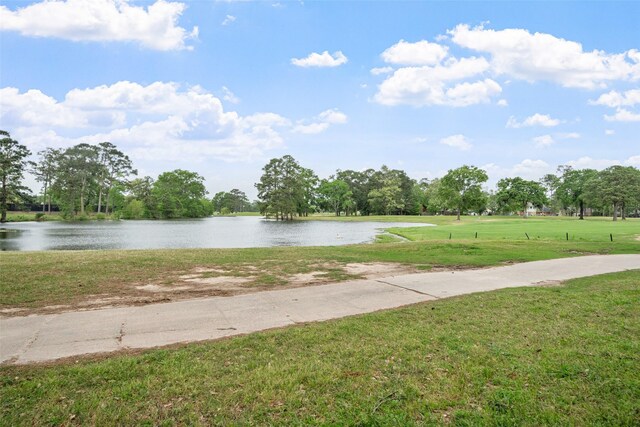 20271 Sunny Shores Dr, Humble, TX 77346 - photo 19