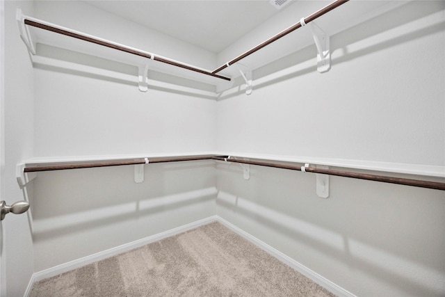 810 Clear Valley Ln, Dayton, TX 77535 - walk in closet with carpet flooring
