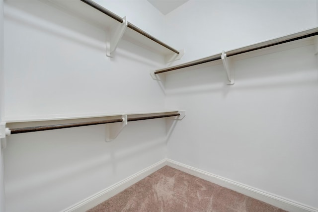 spacious closet with carpet floors