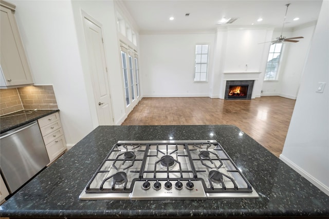 kitchen featuring backsplash, a ceiling fan, appliances with stainless steel finishes, wood finished floors, and a warm lit fireplace