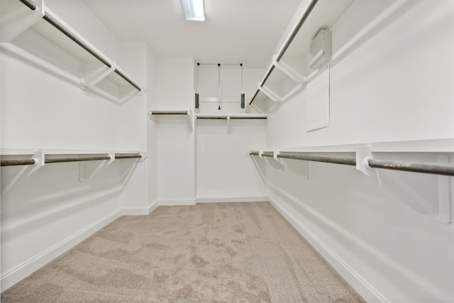 spacious closet featuring light colored carpet