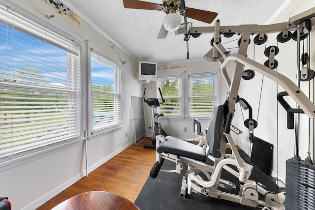 workout area with a wealth of natural light, a textured ceiling, ceiling fan, and crown molding