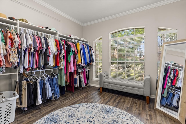 1509 Shamrock Ln, Deer Park, TX 77536 - walk in closet featuring wood finished floors