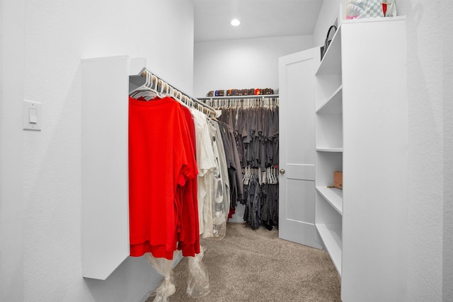 17318 Autumn Sage Ct, Conroe, TX 77385 - spacious closet with carpet flooring