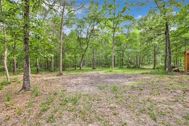 21014 Angus Dr, Cleveland, TX 77328 - view of local wilderness featuring a view of trees