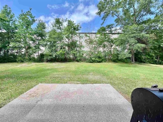 view of yard featuring a patio area