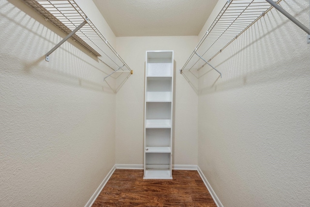 904 University Oaks Blvd Unit 92, College Station, TX 77840 - spacious closet with wood finished floors