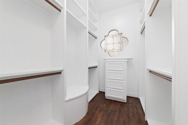 walk in closet with dark wood-style floors