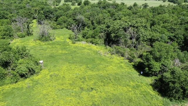403AC Fm 977, Leona, TX 77871