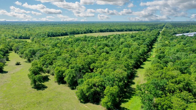 403AC Fm 977, Leona, TX 77871