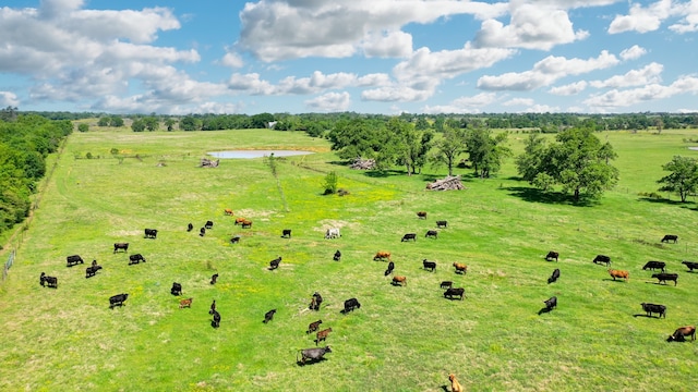 403AC Fm 977, Leona, TX 77871