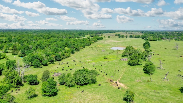 403AC Fm 977, Leona, TX 77871