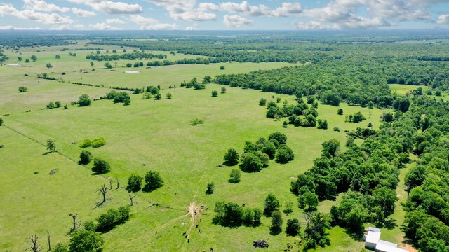 403AC Fm 977, Leona, TX 77871