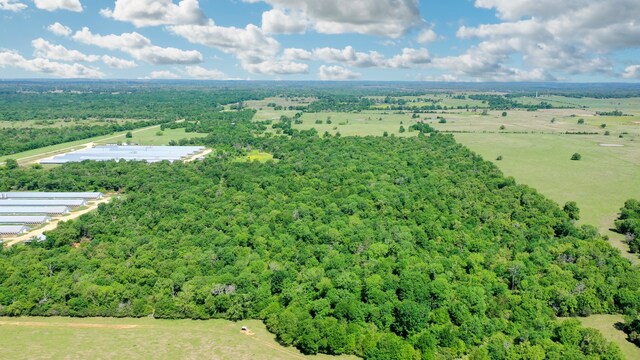 403AC Fm 977, Leona, TX 77871