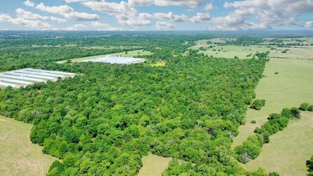 403AC Fm 977, Leona, TX 77871