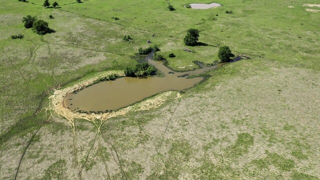 403AC Fm 977, Leona, TX 77871