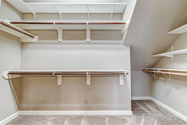 walk in closet with carpet flooring