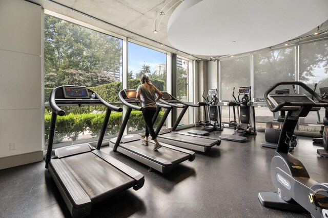 workout area featuring floor to ceiling windows
