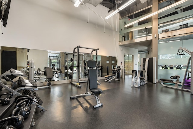workout area featuring a healthy amount of sunlight and a towering ceiling