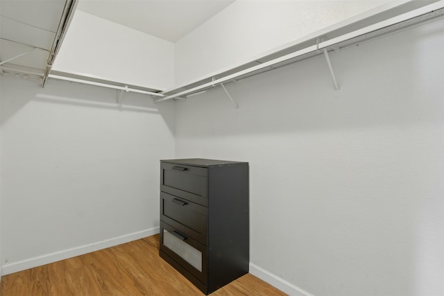walk in closet featuring light wood-type flooring