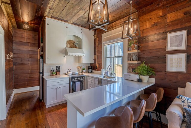 3825 Avenue N 1/2 Ave N Unit 1/2, Galveston, TX 77550 - kitchen featuring wooden ceiling, a sink, high end stove, open shelves, and wooden walls
