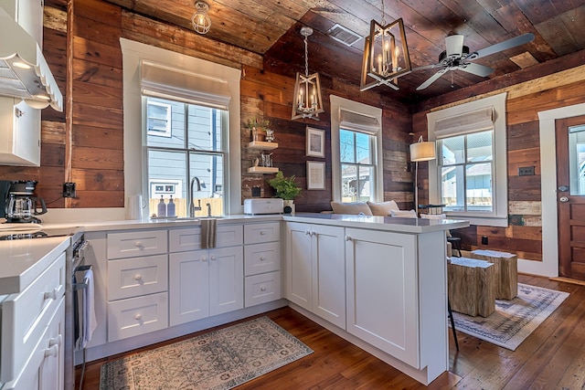 3825 Avenue N 1/2 Ave N Unit 1/2, Galveston, TX 77550 - kitchen with wood ceiling, wood walls, dark wood-style flooring, and ventilation hood