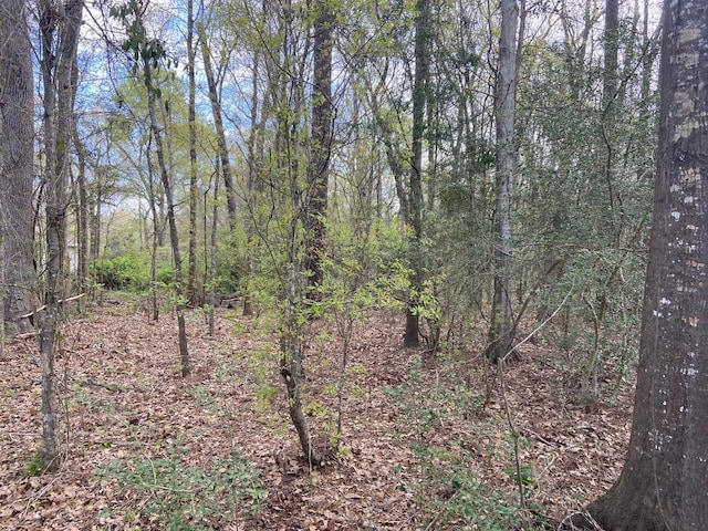 TBD County Road 4012, Dayton, TX 77535