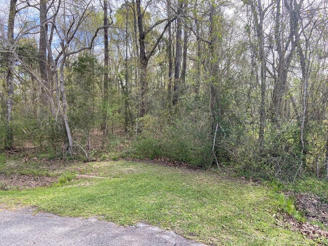 TBD County Road 4012, Dayton, TX 77535