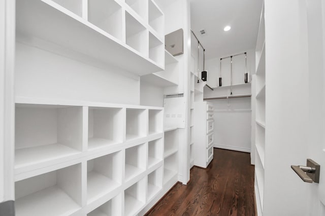 spacious closet with dark wood-style flooring