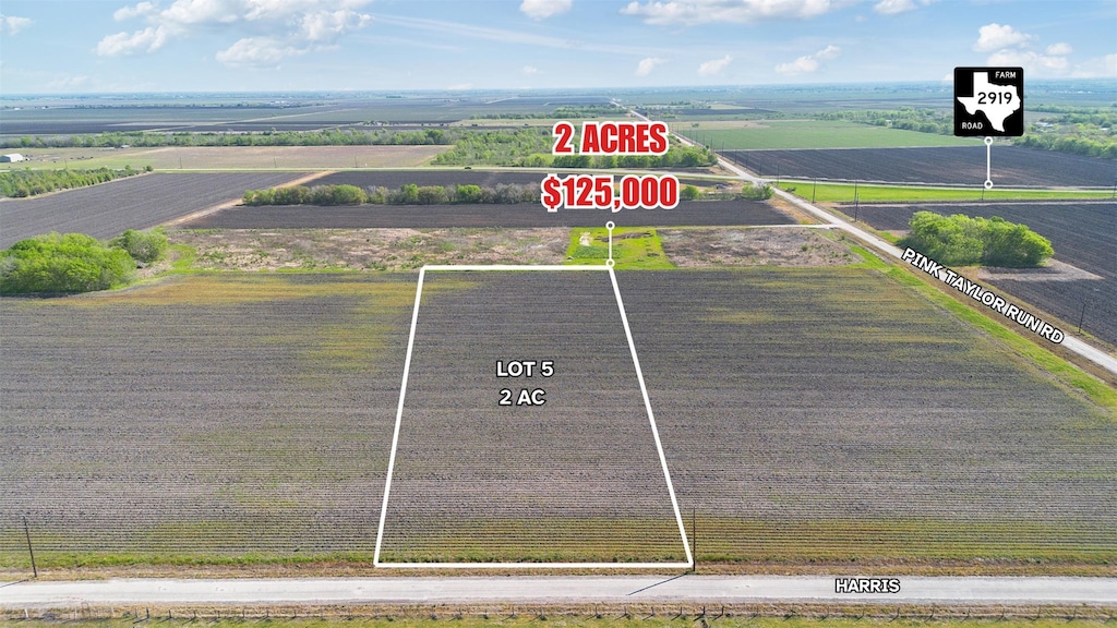 TBD Pink Taylor Run Rd, Beasley, TX 77417