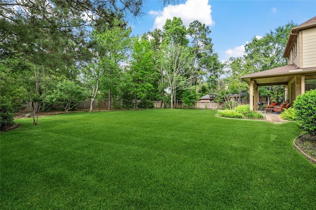 view of yard with a patio area and a fenced backyard