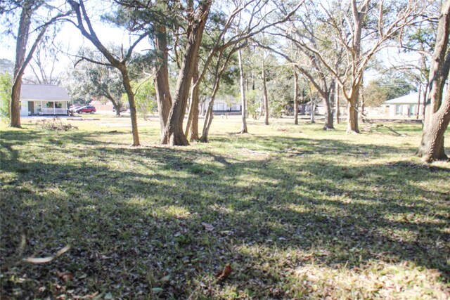 304 N Ormsby St, Alvin, TX 77511