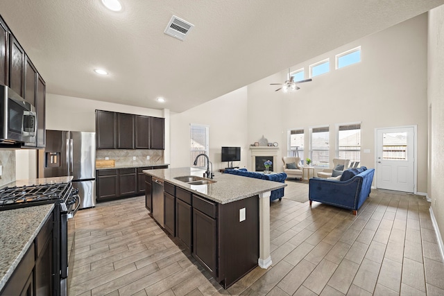 32610 Dew Crest St, Brookshire, TX 77423 - kitchen featuring a sink, a healthy amount of sunlight, a fireplace, appliances with stainless steel finishes, and visible vents